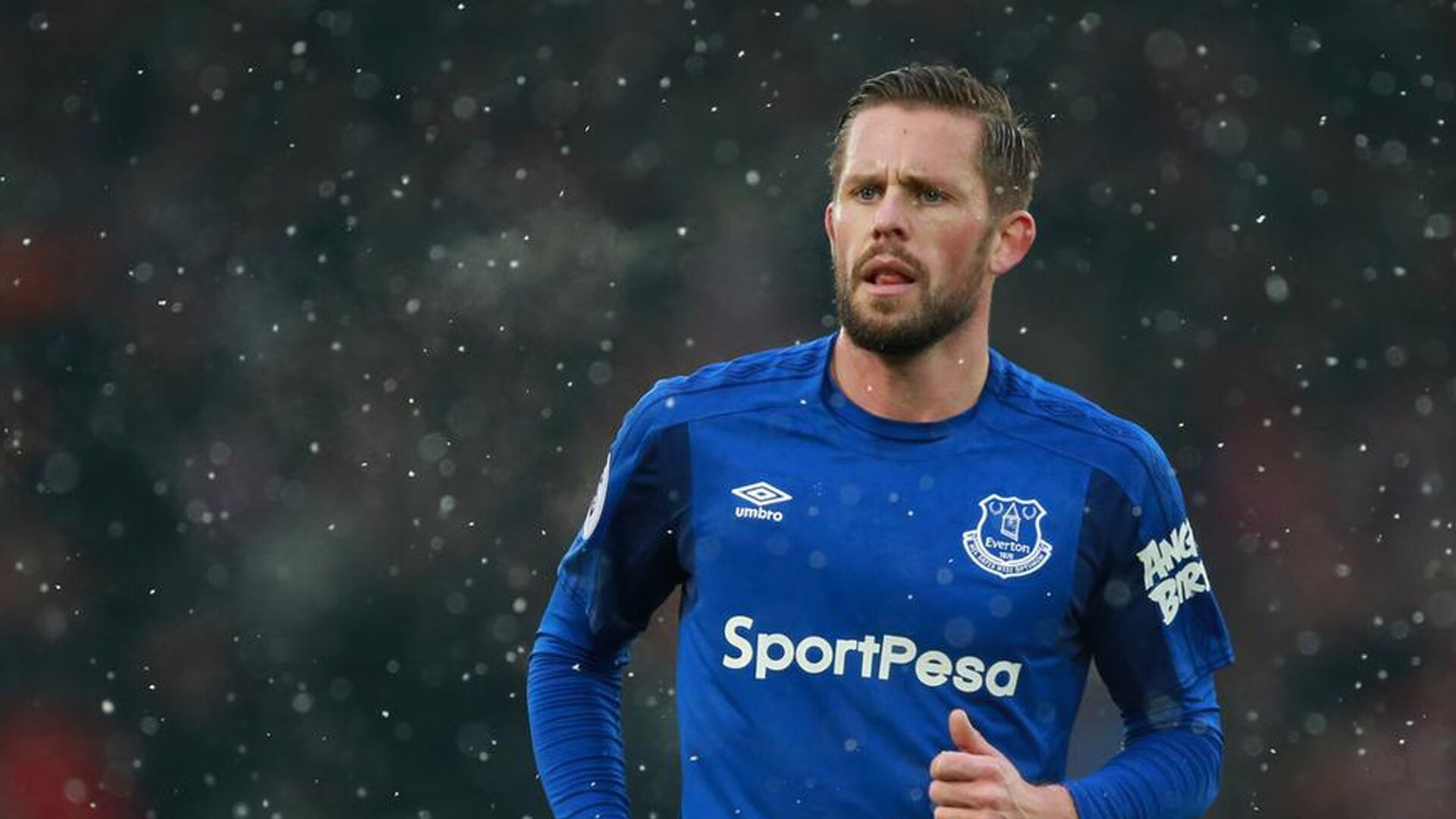 F1大奖赛回顾 速度与激情的较量，f1大奖赛2020